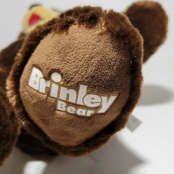 Brinley Build-A-Bear Plush Teddy Bear Great Wolf Lodge BABW 16” Retired 2019 - Picture 4 of 12